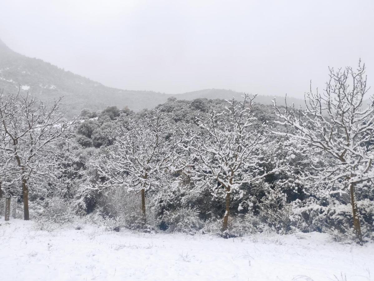 Oneiropagidasuites Kalavryta Exterior foto