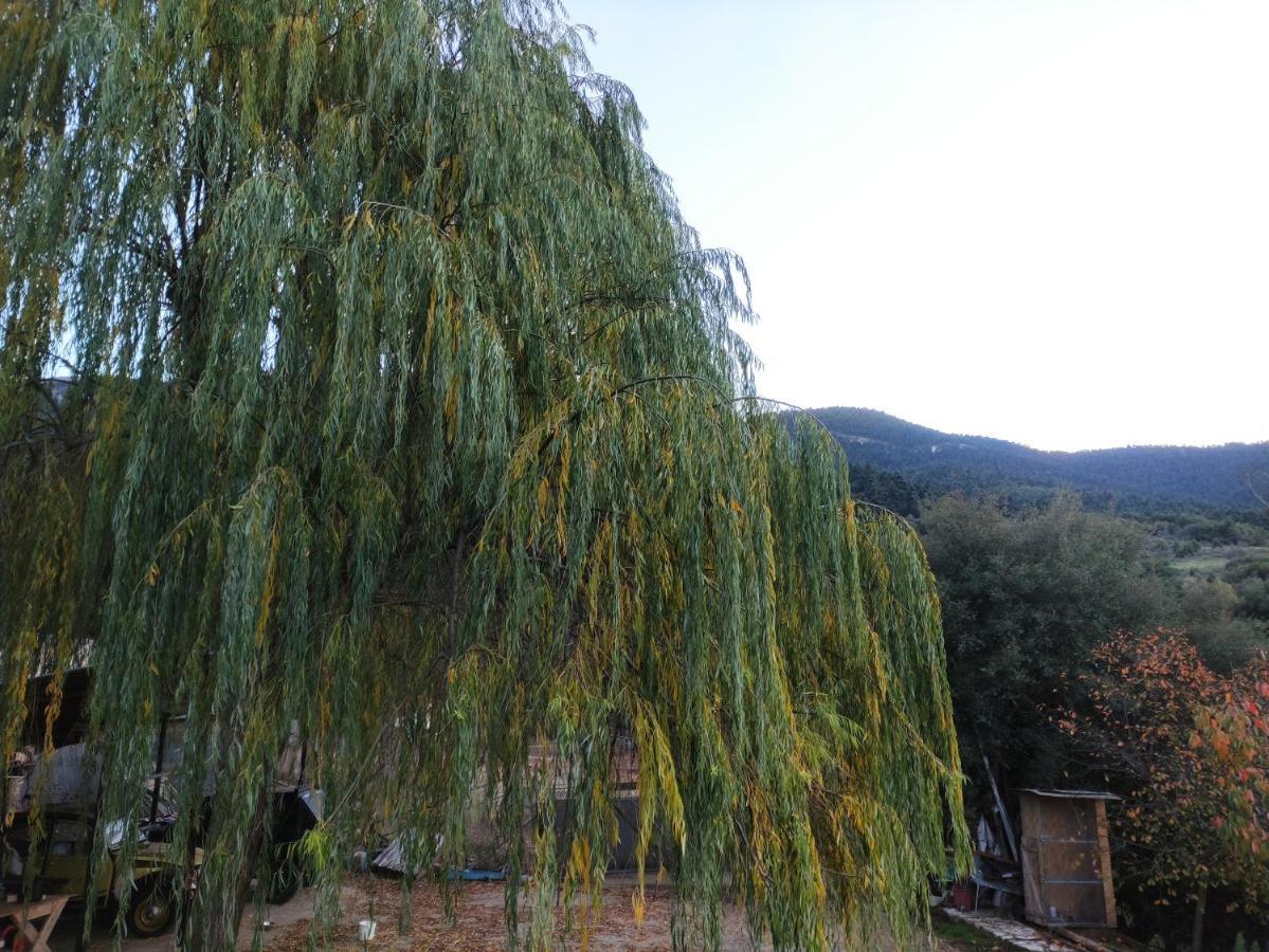 Oneiropagidasuites Kalavryta Exterior foto