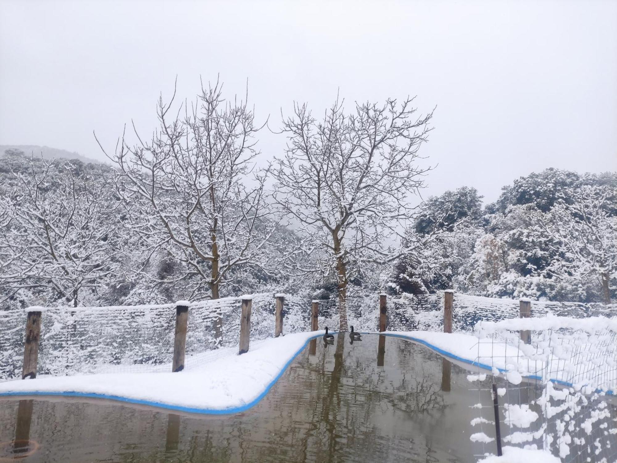 Oneiropagidasuites Kalavryta Exterior foto