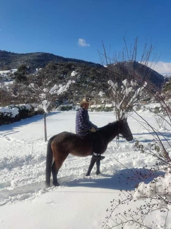 Oneiropagidasuites Kalavryta Exterior foto