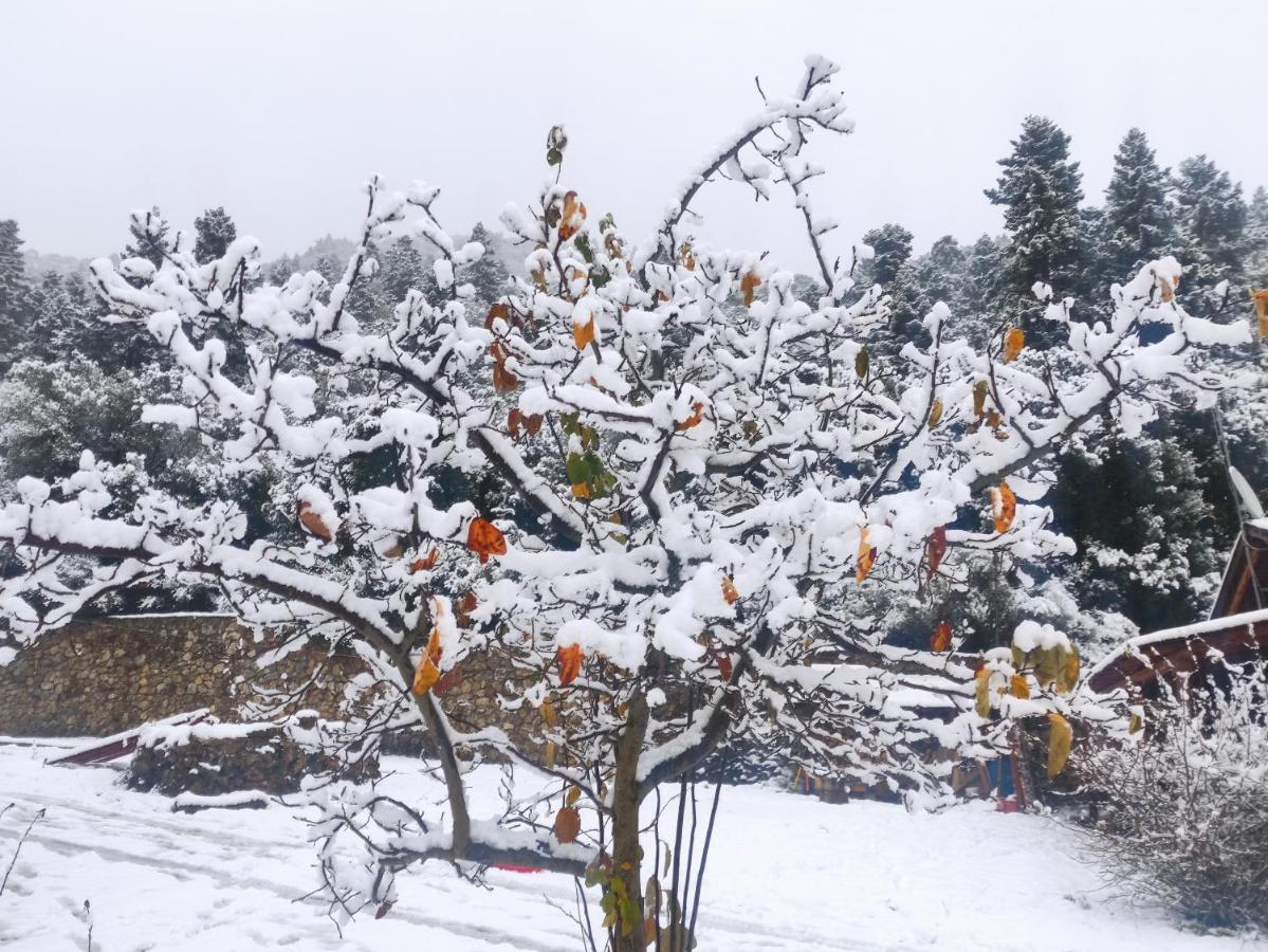 Oneiropagidasuites Kalavryta Exterior foto
