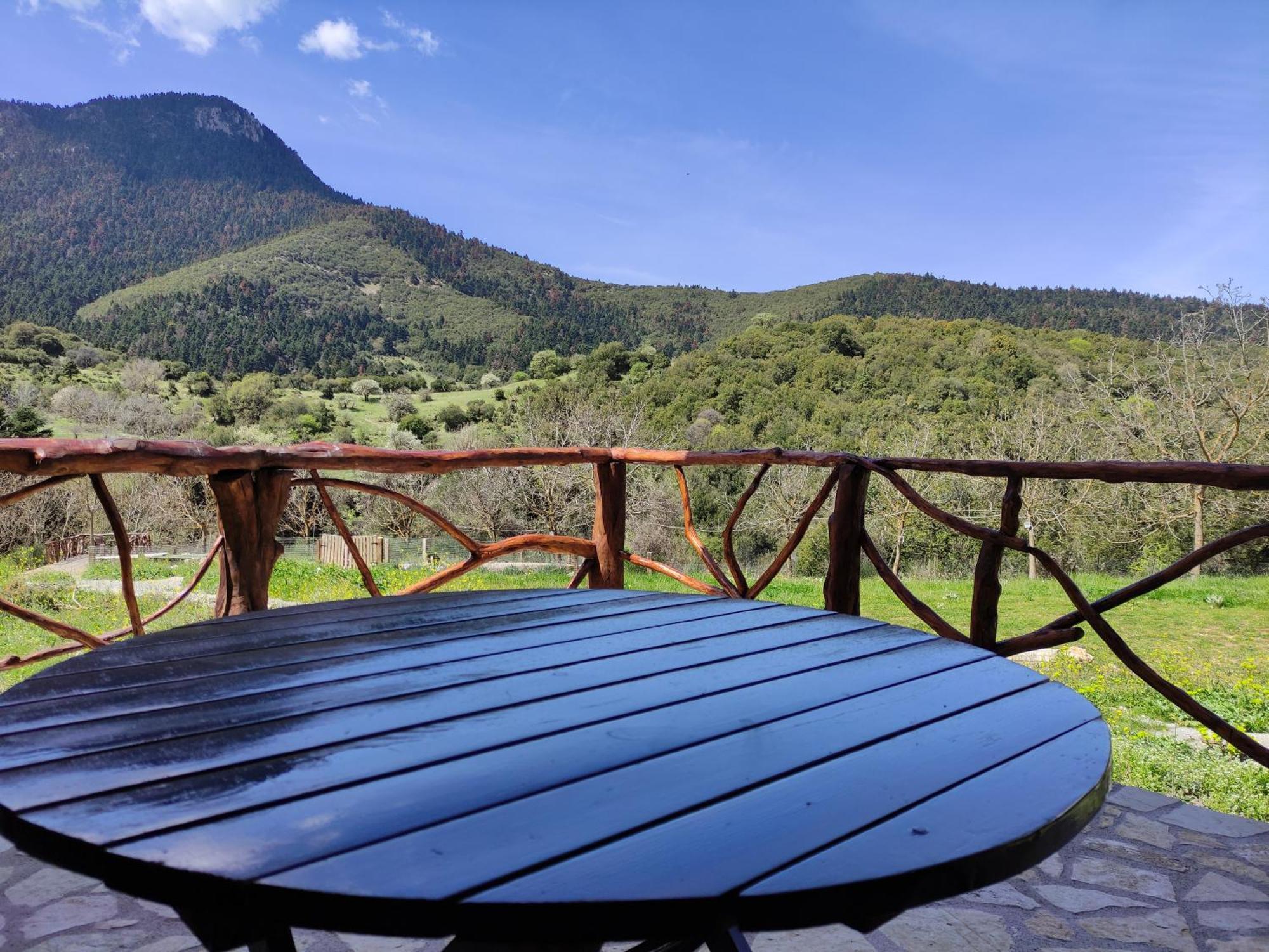 Oneiropagidasuites Kalavryta Quarto foto
